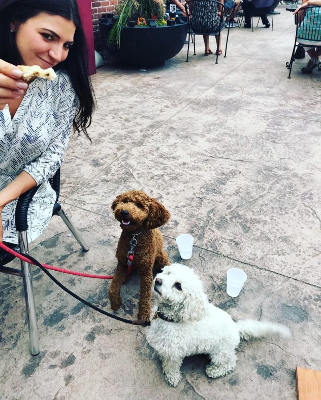 Must Love Dogs DogFriendly Fun in Downtown Reno